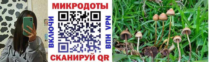 Галлюциногенные грибы ЛСД закладка Ковылкино